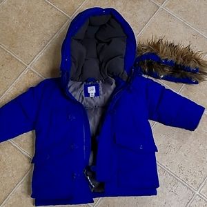 Toddler Boys Down filled Gap coat